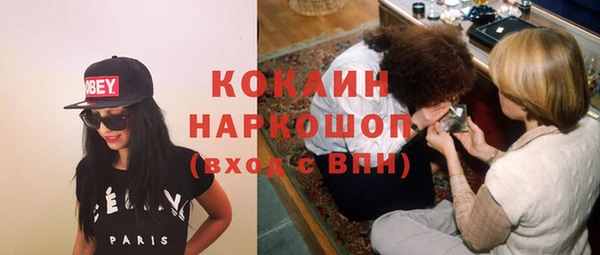 бошки Каменка