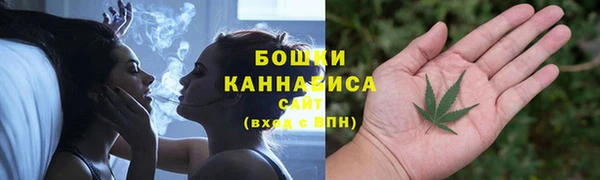 бошки Каменка