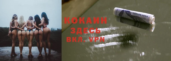 бошки Каменка