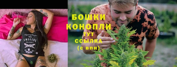 бошки Каменка