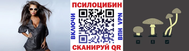 Псилоцибиновые грибы прущие грибы  Железногорск-Илимский 